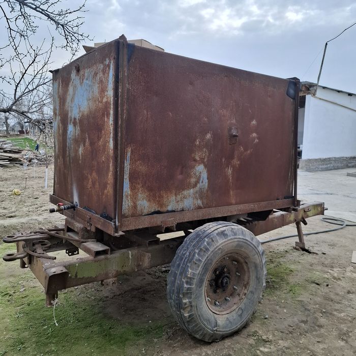 Тесік жоқ бүтін цестрна