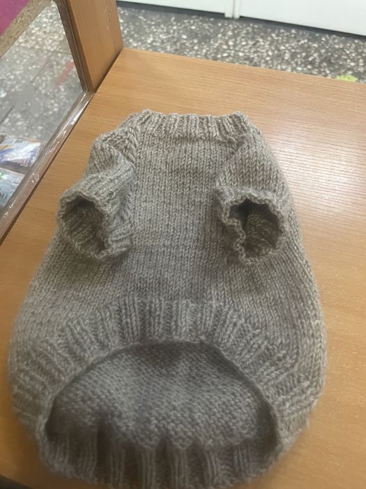 Одежда для животных