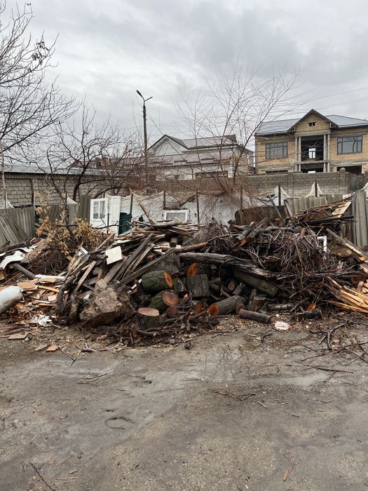 O’tin sotiladi narxini kelishamz