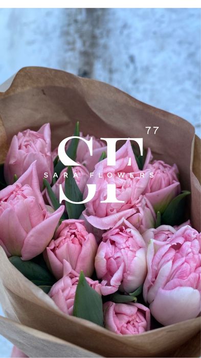 Оптовая продажа тюльпанов