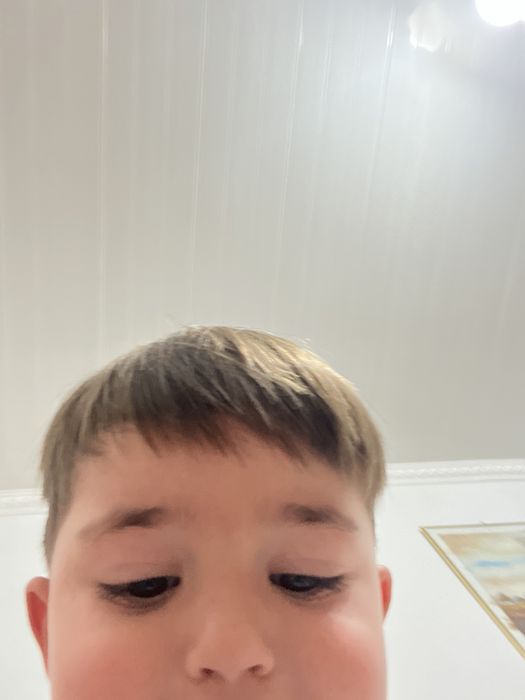 Audi A4 B8 2010 2.0 TDI Automat