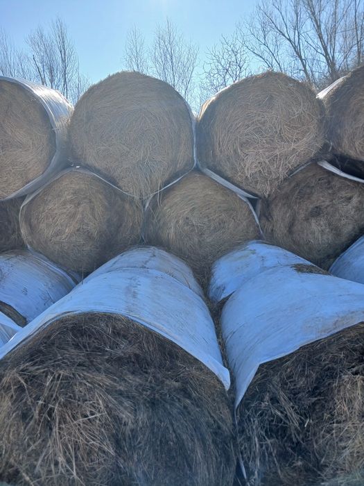 Vand baloti Fân si Lucerna