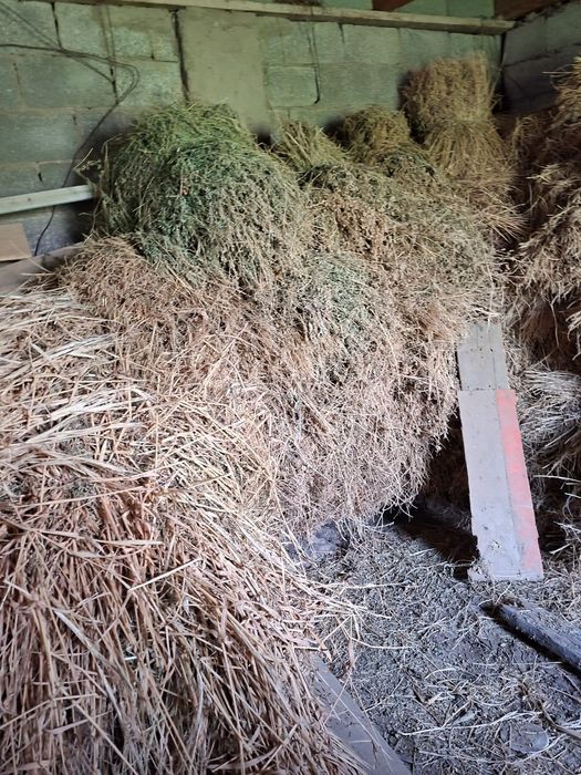 Жоңышқа сатылады