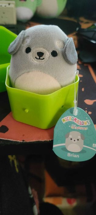 Micromallows (Squishmallows) - Mila & Brian