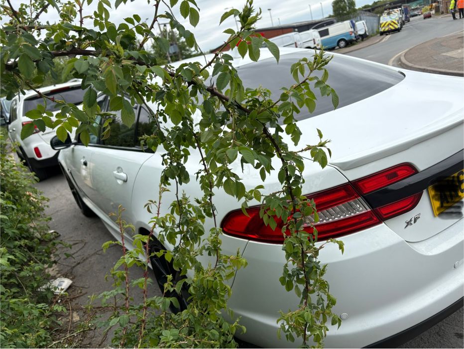 Jaguar xf2.2 Diesel, Automat, 2014