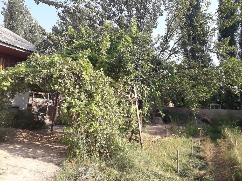 Уй 4 хонали ҳовли ва боғлари бор