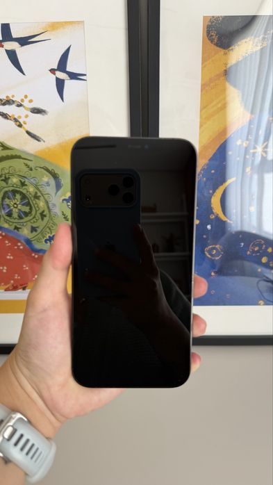 IPhone 12 pro max 256 gb