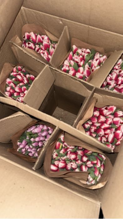 Тюльпаны на 8 марта