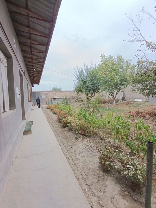 Hovli sotiladi 5 sotix Срочно Продаётся участок