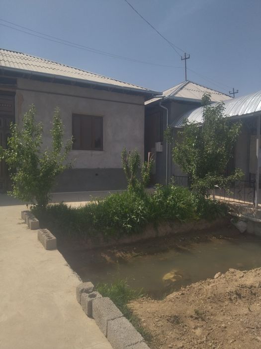 Kottakon hovli sotladi