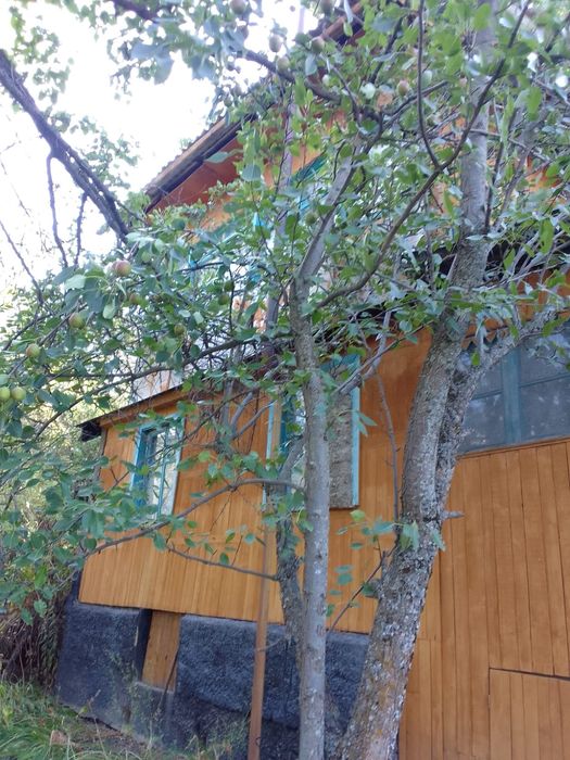 Продам дачу в Горном садоводе Коклайсай