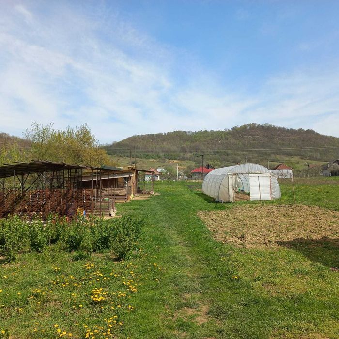 Casă modernă +  17 ari teren + anexe complete | Lozna Sălaj | Mobilată