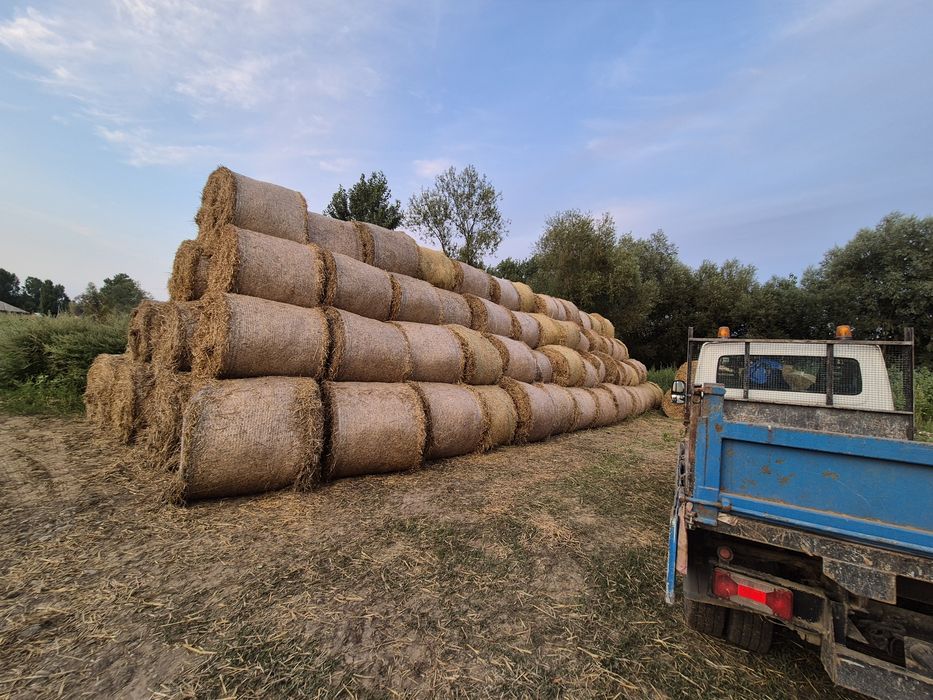 Baloți Lucernă,Paie de Orz,Paie de Grâu