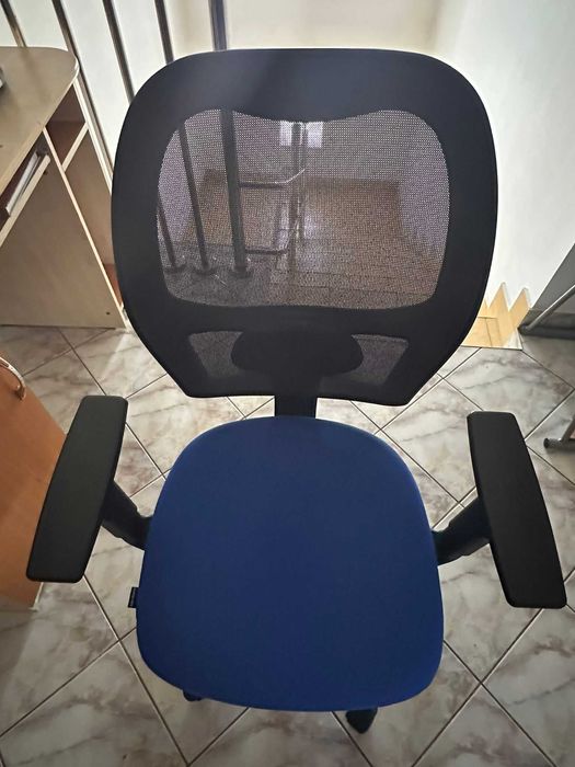 Scaun Ergonomic Birou