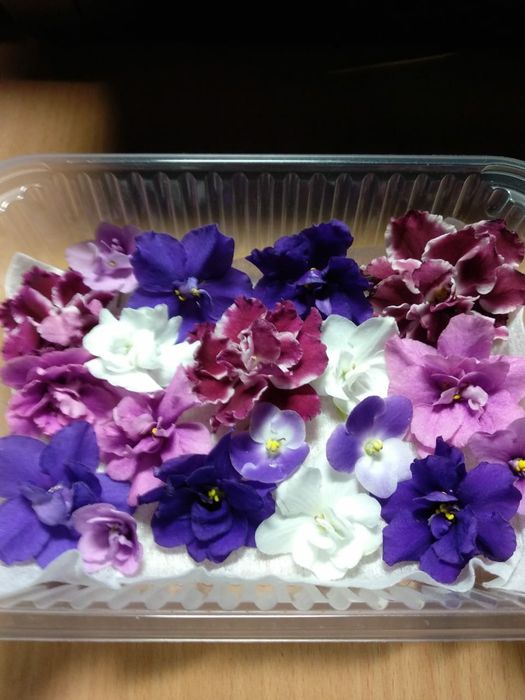 Съедобные  живые цветы