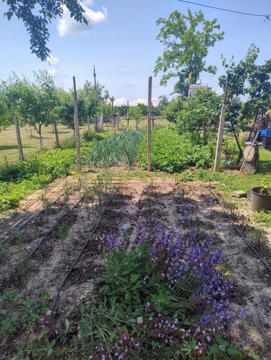 Vand casa  cu panouri fotovoltaice montate ,in sat Balta Alba ,Buzau