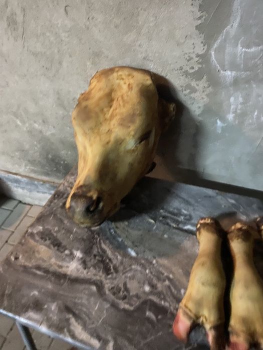 Голова ноги бычьи просмолинные помытые