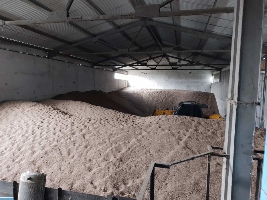 Продавам заготвен кориандър и семена