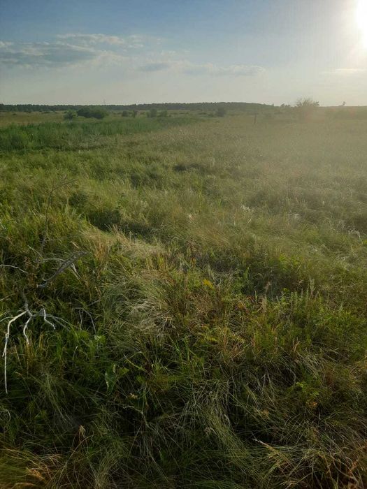Срочно продам земельный участок