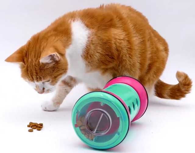 Dozator lent hrana pentru animale de companie, Pipolino L, 1 kg, gri