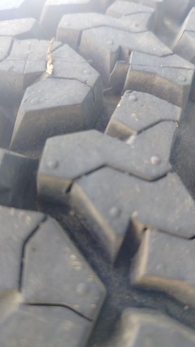 Шины Maxxis Worm DRAIVE