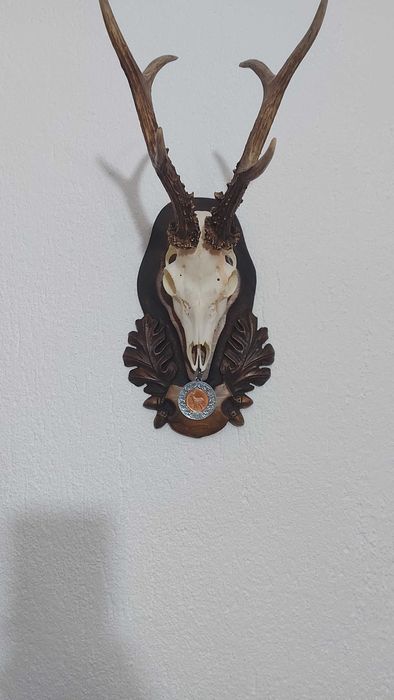 Поставки за ловни трофеи