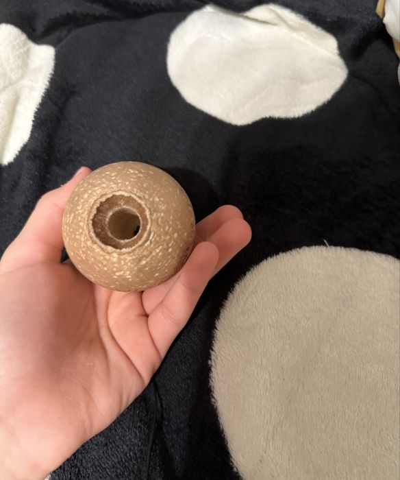 Tamă Miguel ff buna