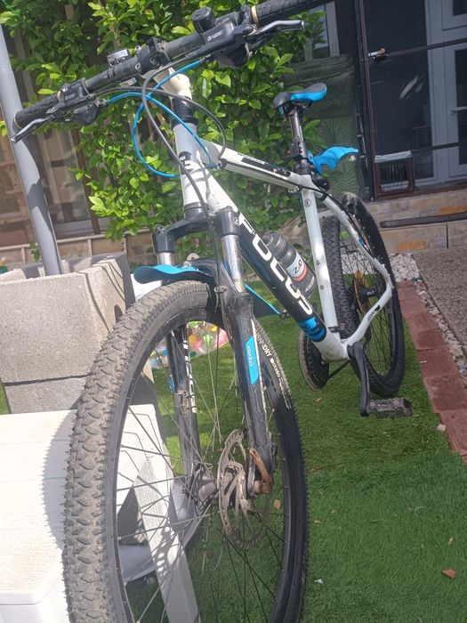 Bicicleta Focus.