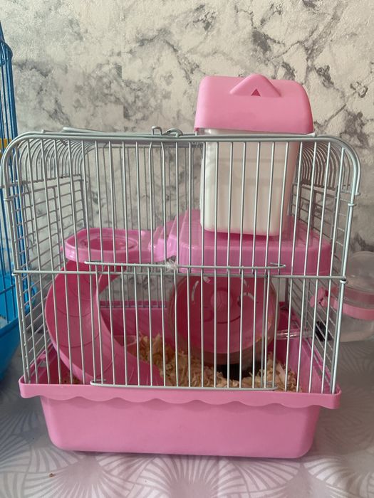 Продам Хомяка с клеткой, с кормом и наполнителем