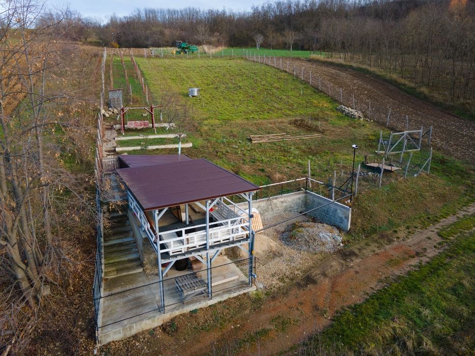 Teren intravilan de vânzare în Viisoara, județul Bihor- zonă liniștită