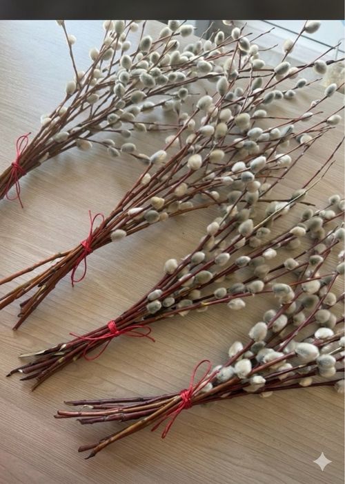 Верба продам бует