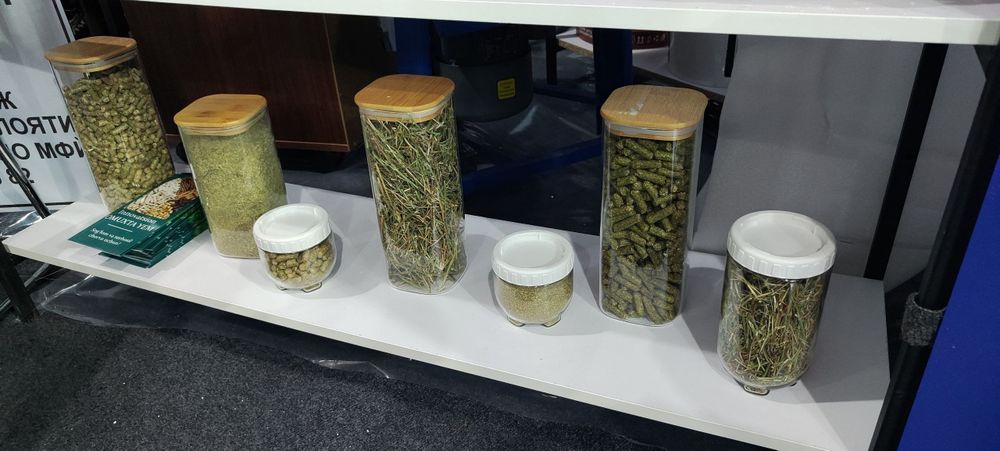 Beda, yantoqdan granula shaklidagi yemlar.