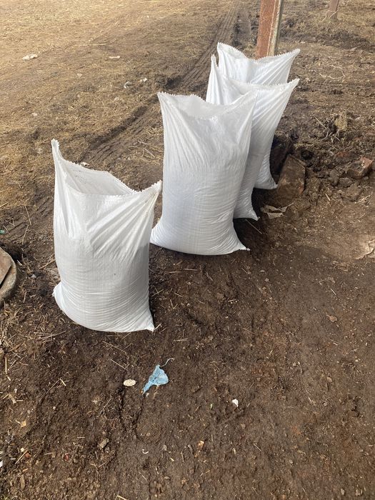 Прегоряла , Пресята, Оборска тор