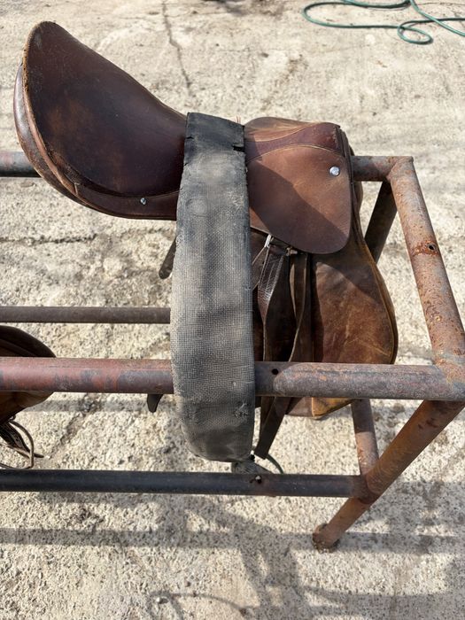 De vânzare, şei de echitație!