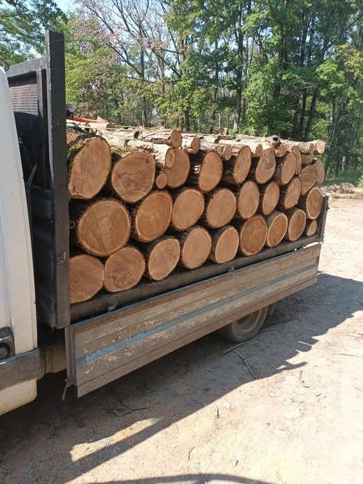Vand lemne de foc transport gratuit în prahova 0728449170