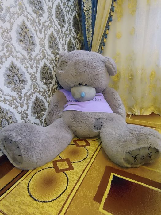 Tedy ayiq sifat zor narxi:500.000