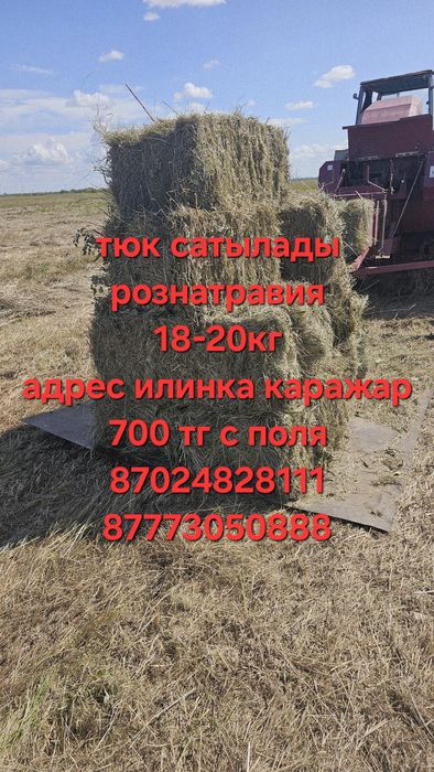 Сено в тюках рознатравия