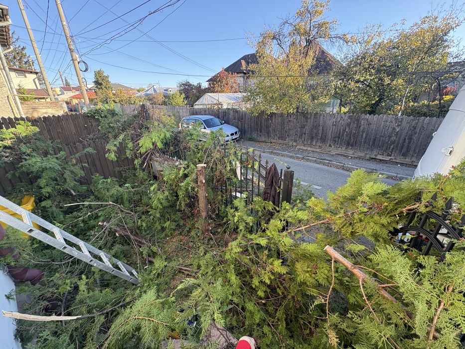 Servicii grädinarit /întreținere teren/sapaturi/defrisari