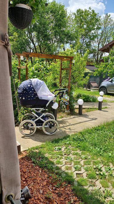 Căruț pentru copii 3 în 1