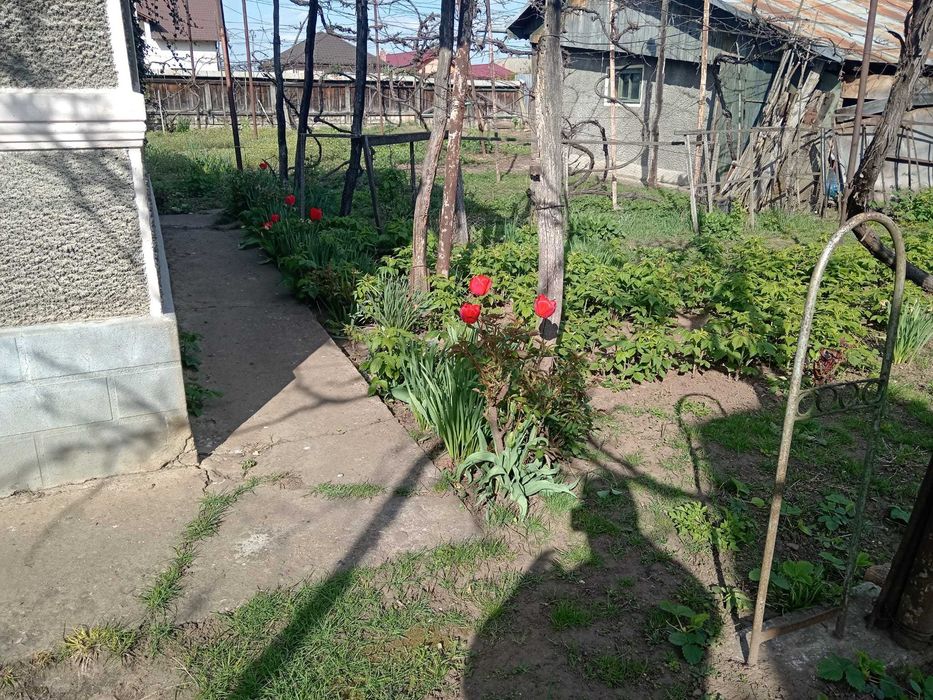casa de vanzare in Roznov