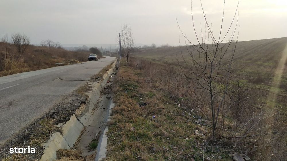 Teren intravilan Pielesti , suprafata 10.000mp deschidere 71,7m