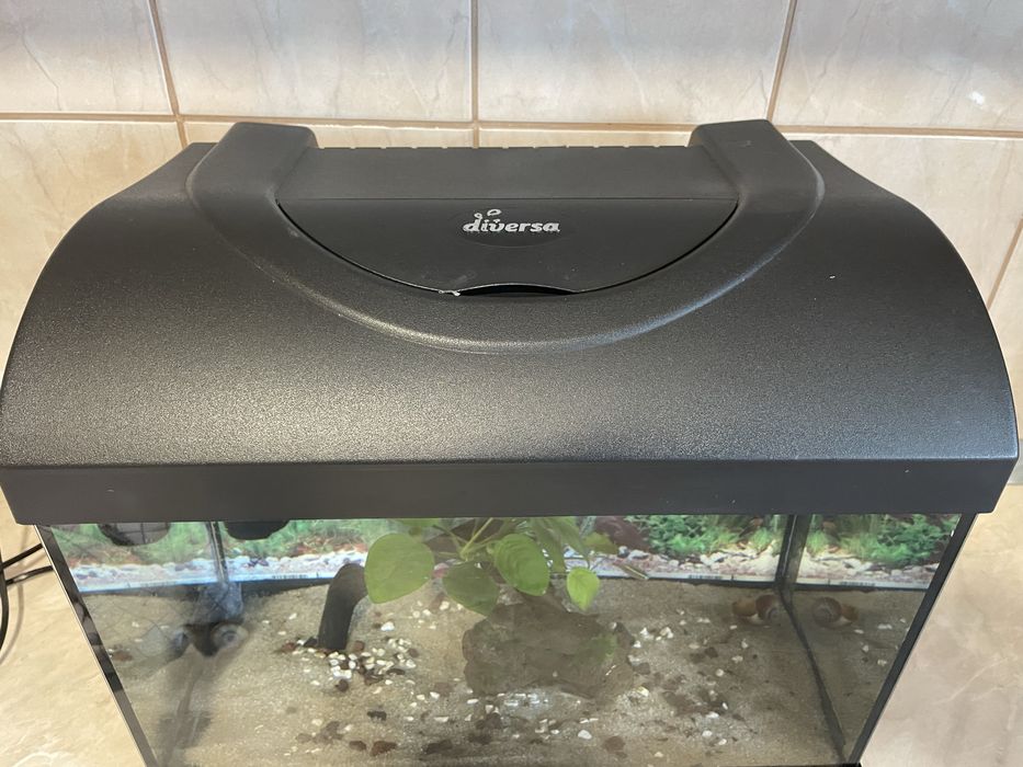Acvariu Diversa 25 l