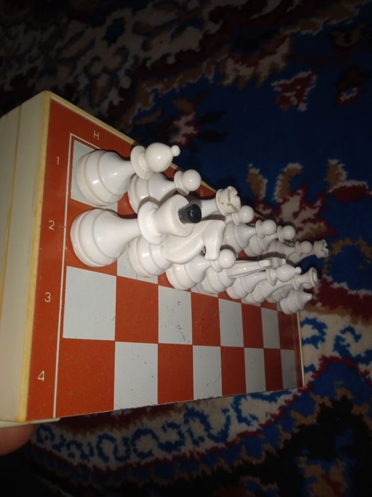 Шахматы магнитные.