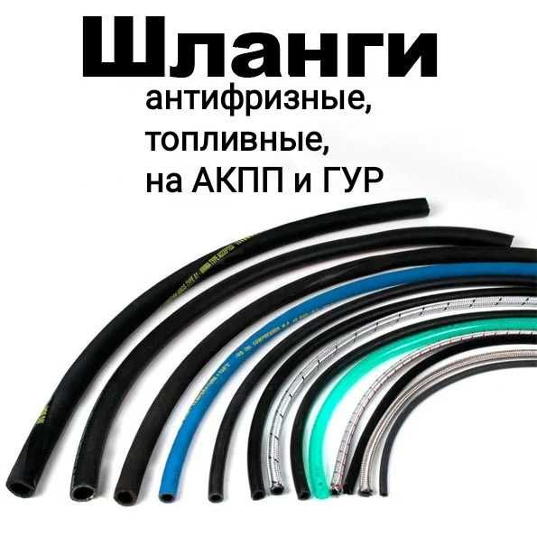 Шланги  автомобильные Европа