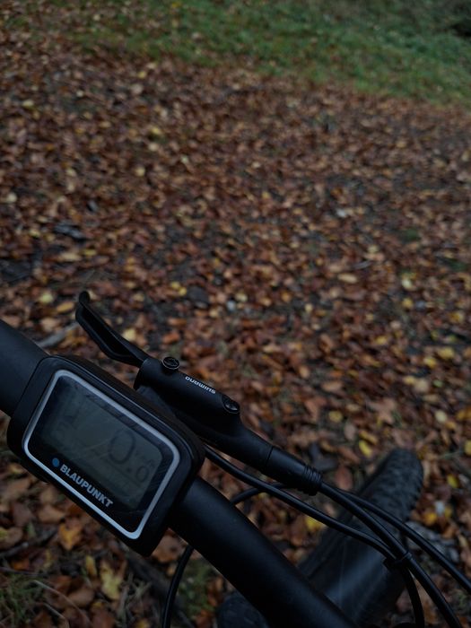 bicicleta Blaunpunkt Prophete 51721