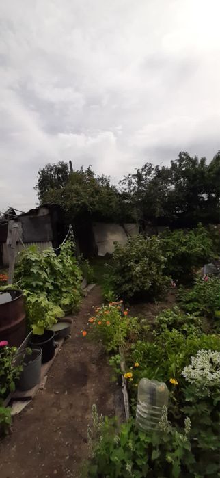 Продаётся дом с большим участком.