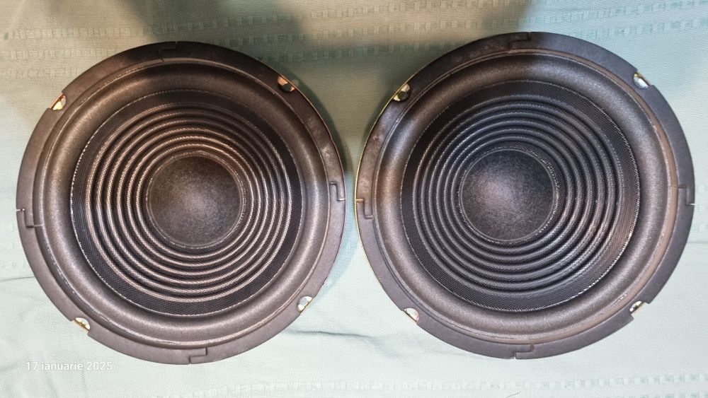 difuzoare 20cm ,Monacor,Hitachi,B&W