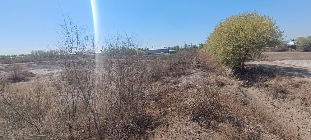 Йер сотилади 6 сотих