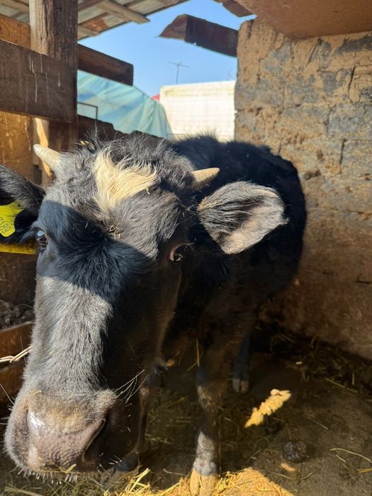 350000 договорная