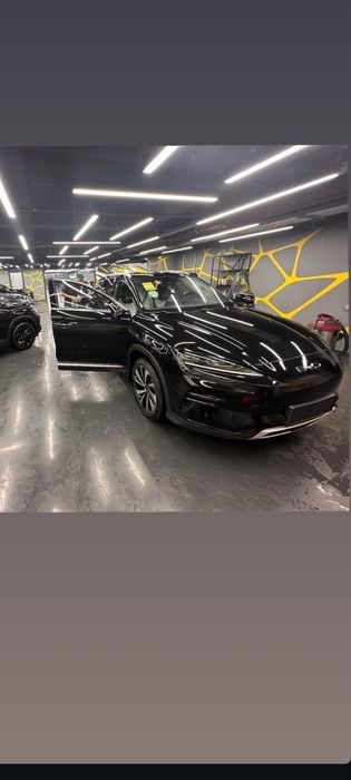 Byd chempion Plus black